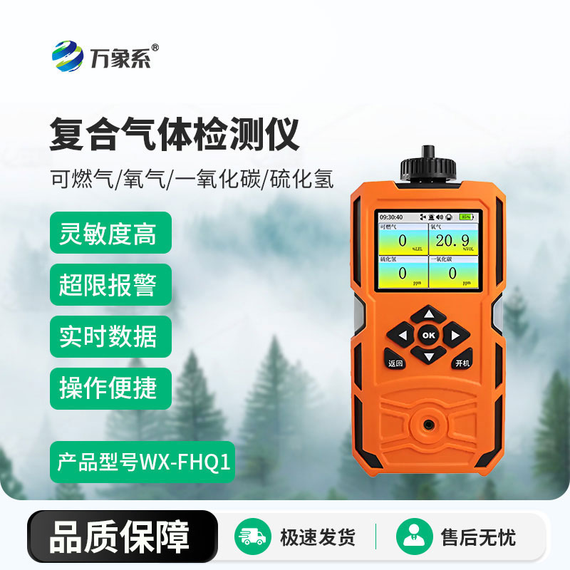復(fù)合氣體檢測(cè)儀